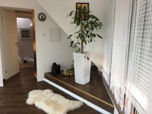 Bed & Breakfast G�stehaus K�hler