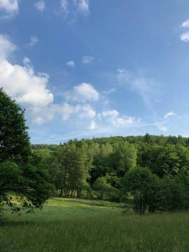Bed & Breakfast G�stehaus K�hler