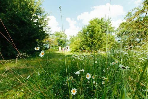 Apartamentos Feriendomizil Alter Garten