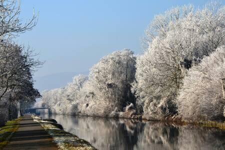 Hostal A L Ombre Des Catalpas