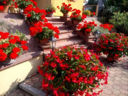 Hostal A L Ombre Des Catalpas