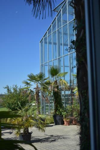 Apartamento Palmengarten