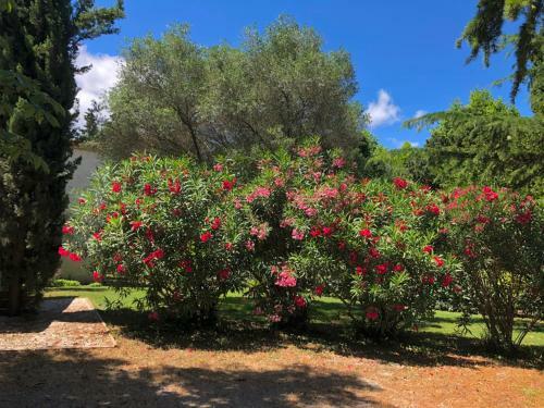 Bed & Breakfast Le Nid Des Corbi�res