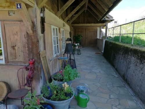 Apartamento Ferienwohnung In Mutter's Stube