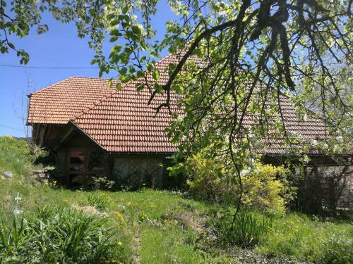 Apartamento Ferienwohnung In Mutter's Stube