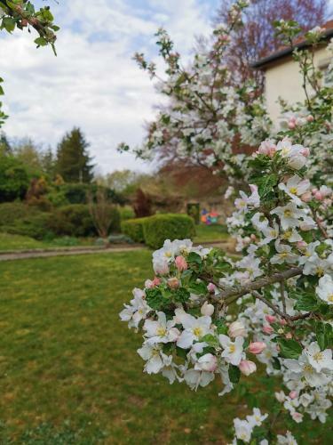 Bed & Breakfast Chambres D'h�tes La Tuilerie