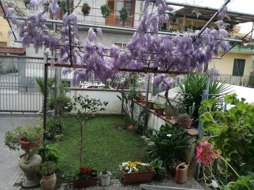 Apartamento Taverna Catena