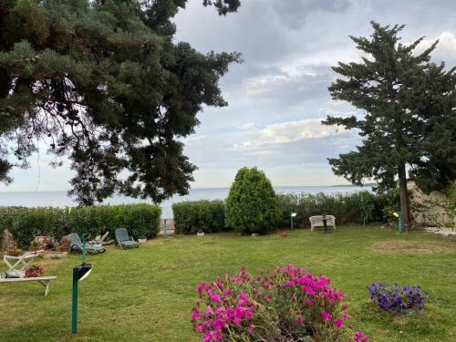 Villa Stella Marina