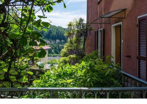 Apartamento Wisteria House