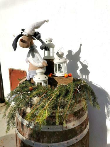 Apartamento Agriturismo Mondo