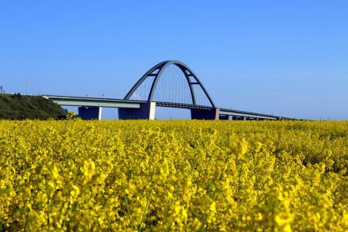 Meeresblick Fehmarn Ferienhaus 42