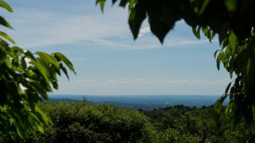 Les Cerisiers De Stella