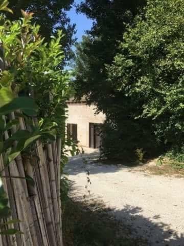 Apartamento Studio Dans Les Bois