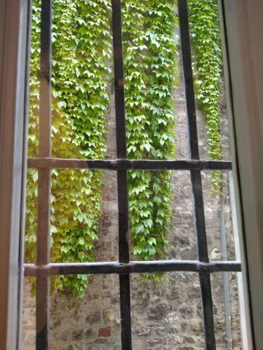 Bed & Breakfast Bresciantica