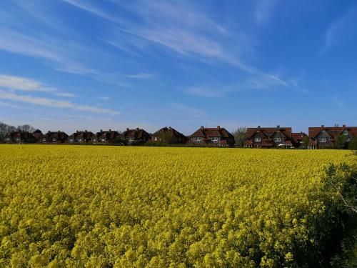 Apartamento Place To Be Fehmarn
