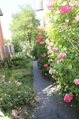 Apartamento Villa Pura Vida