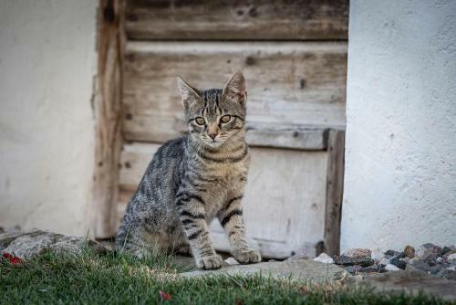 Apartamento Ban Hofa