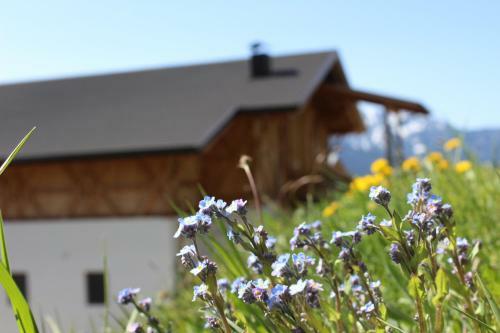 Apartamento Ban Hofa