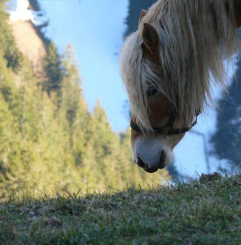 Apartamento Ban Hofa