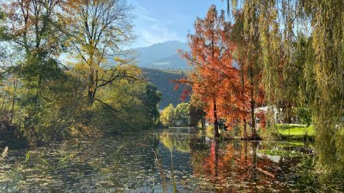 Apartamento Nina ? Parchi E Fiume