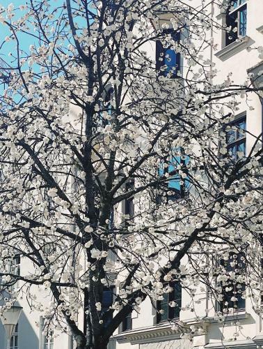 Apartamento Nina ? Parchi E Fiume