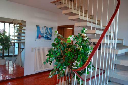 Apartamento Cantay-mathildenstra�e 16 - Fw 4 - Og Rechts