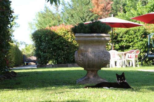 Bed & Breakfast Casale La Decima