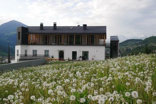 Agroturismo Vintlerhof