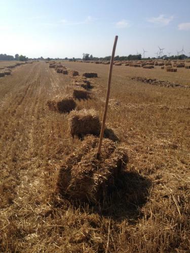 Apartamento Wohnung 2