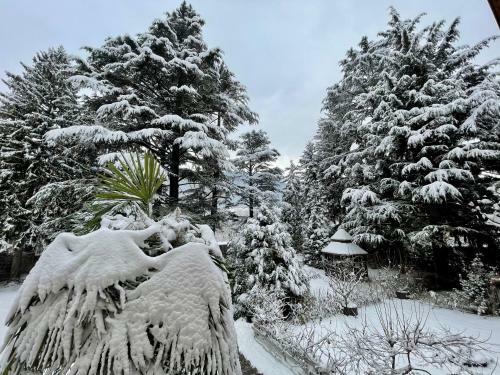 Apartamento App. Franziska Villa Fabbrani