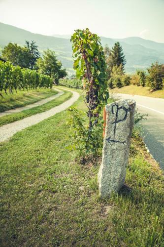 Apartamento Appartements Mayrhof