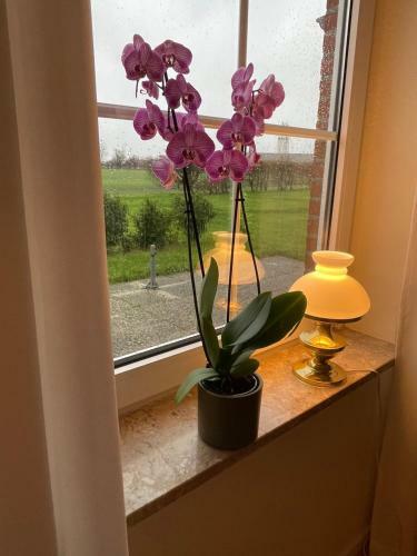 Apartamento Meine Ferienwohnung