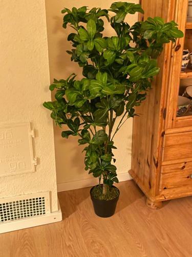 Apartamento Meine Ferienwohnung