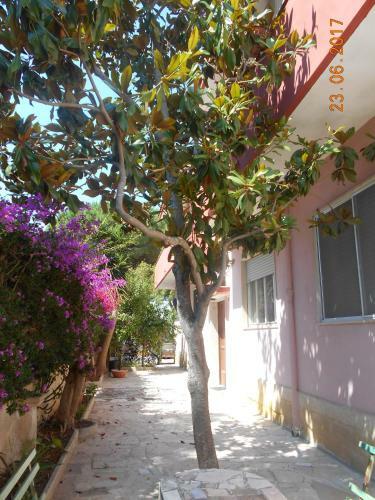Apartamento Casa Paradiso