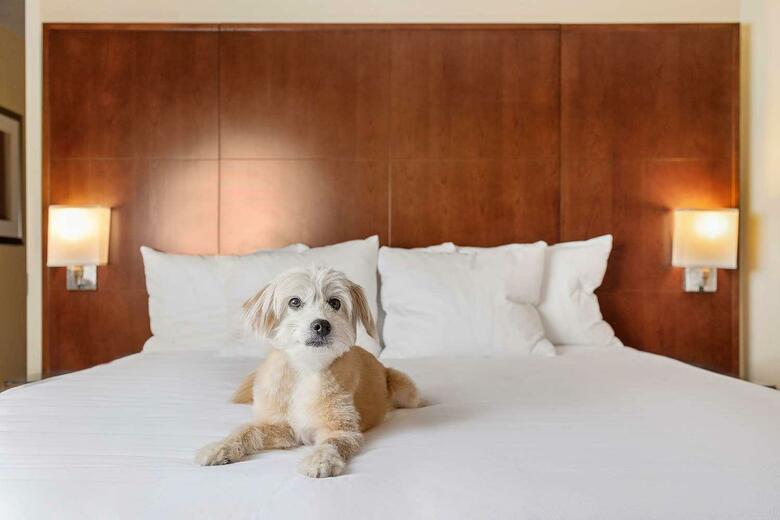 Hotel Hyatt Regency Houston