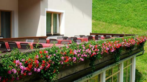 Hostal Haus Am Wildbach