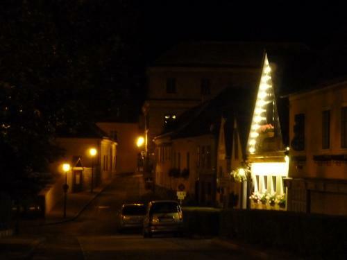 Apartment Vindobona
