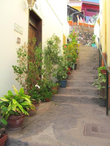 Apartamento Casa Policarpo