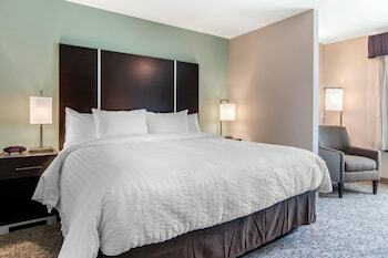 Hotel Castleberry Inn & Suites