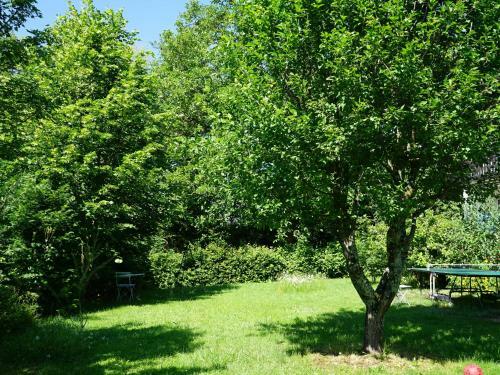 Apartamento Ferienwohnung Am Ehrenstetter Grund