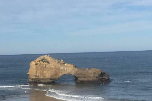 Apartamento Imp�ratrice