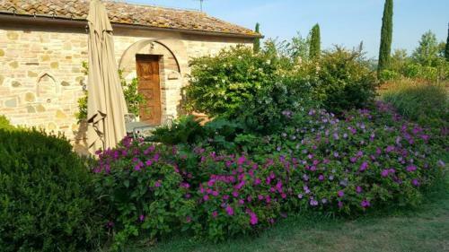 Apartamento Myrtus Podere Cunina