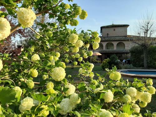 Villa Podere Palazzetto