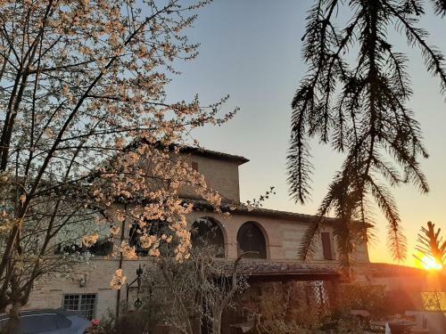 Villa Podere Palazzetto