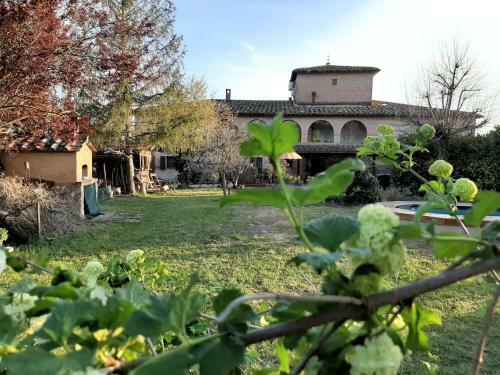 Villa Podere Palazzetto
