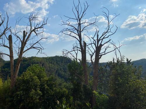 Apartamento La Casa Di Bianca