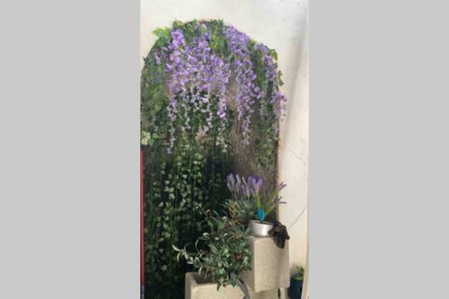 Apartamento La Casa Di Bianca