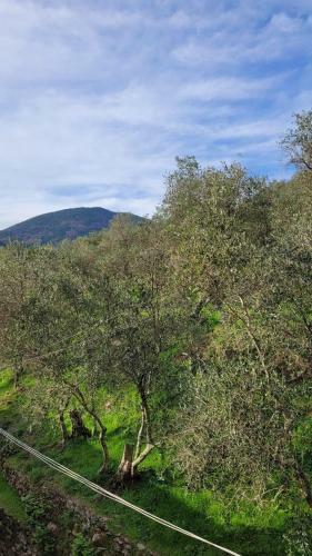 Apartamento Casa Tiricella