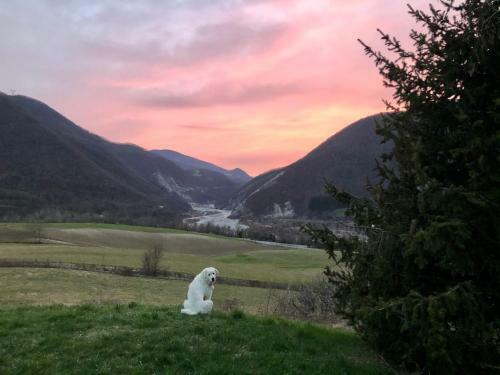 Bed & Breakfast La Locanda Nel Vento