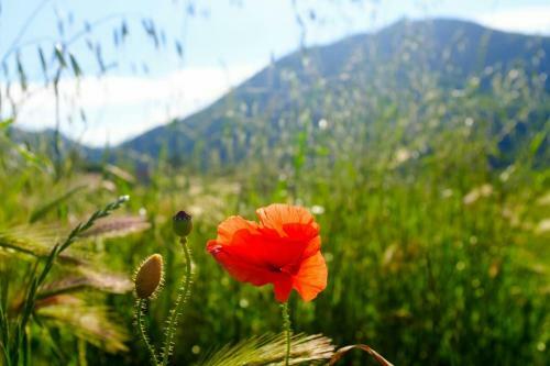 Bed & Breakfast La Locanda Nel Vento